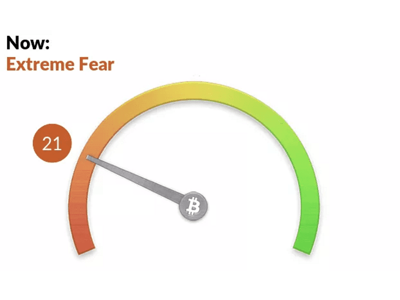 -extreme-fear-hits-crypto-|-this-week-in-crypto-–-apr-18,-2022