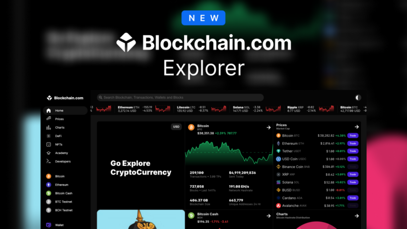 the-new-blockchain.com-explorer