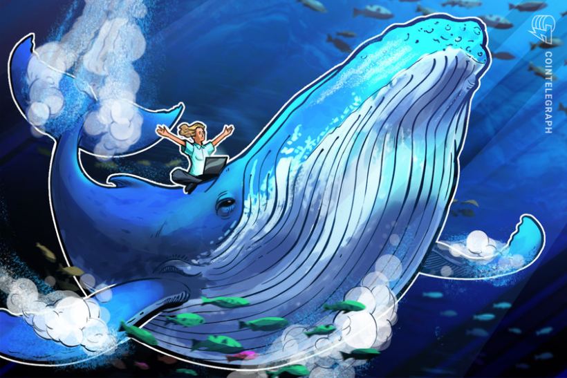 ‘can-it-get-any-easier?’-bitcoin-whales-dictate-when-to-buy-and-sell-btc