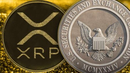 lawyer-outlines-what-would-happen-if-sec-wins-lawsuit-against-ripple-over-xrp